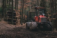 forestry