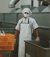 ⾷品の製造、加⼯、包装などを⾏います。